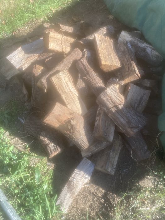 Vendo lenha seca