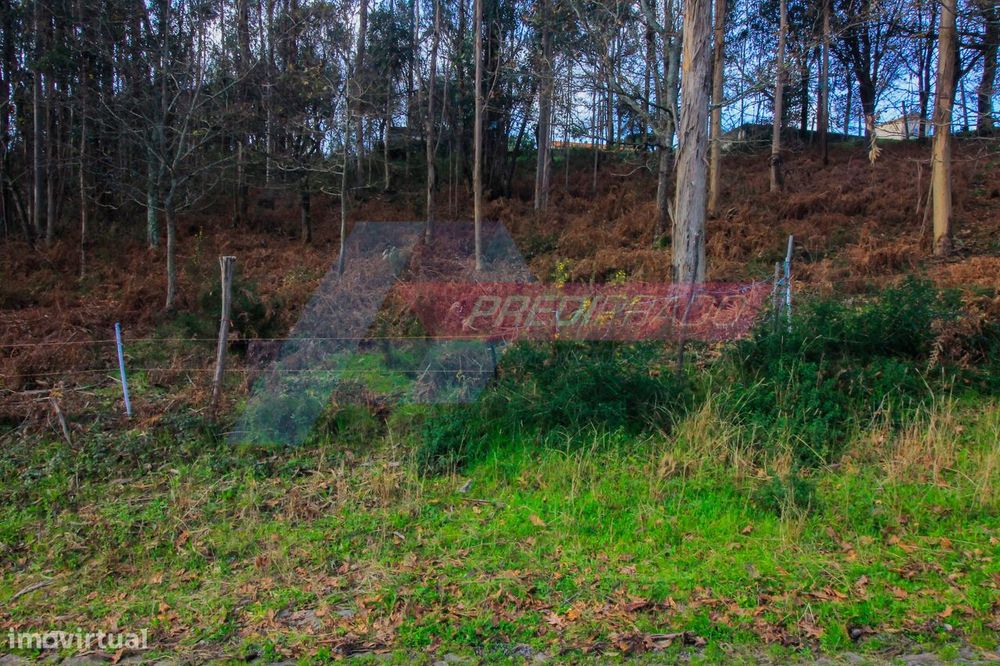 Terreno florestal com 4500m2! — Ribeira Do Neiva, Braga