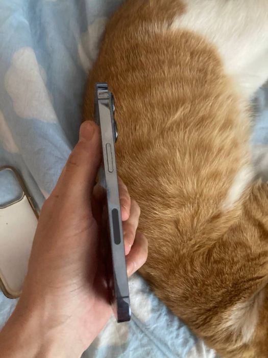 Iphone 13 pro 256gb neverlock с нюансом