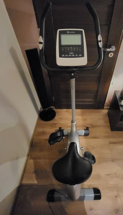 Rowerek stacjonarny Paros Horizon Pro