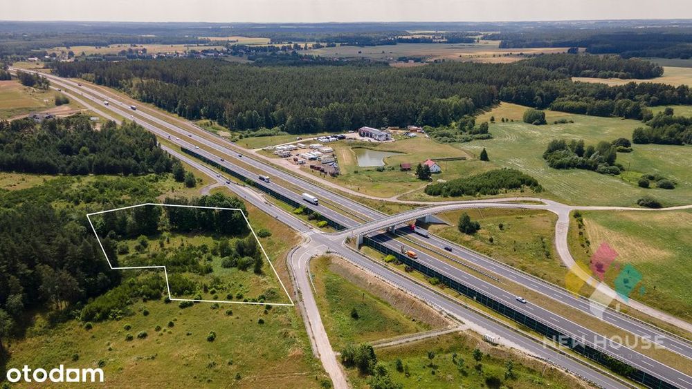 Zdjęcie 8