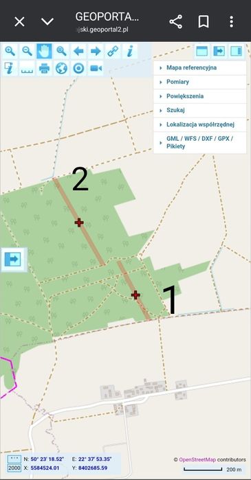 Sprzedam 2 działki leśne w jednym kompleksie leśnym