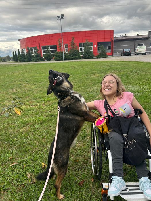 Gapcio do pilnej adopcji!