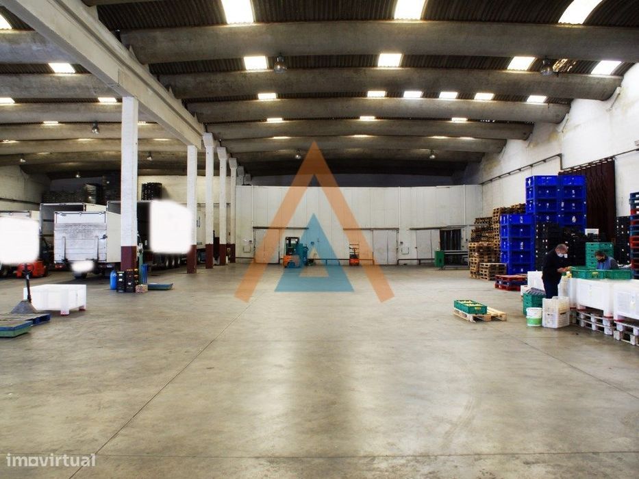 Grande Pavilhão e Terreno