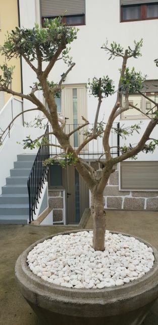 Apartamento T1 com garagem individual, na Senhora da Hora