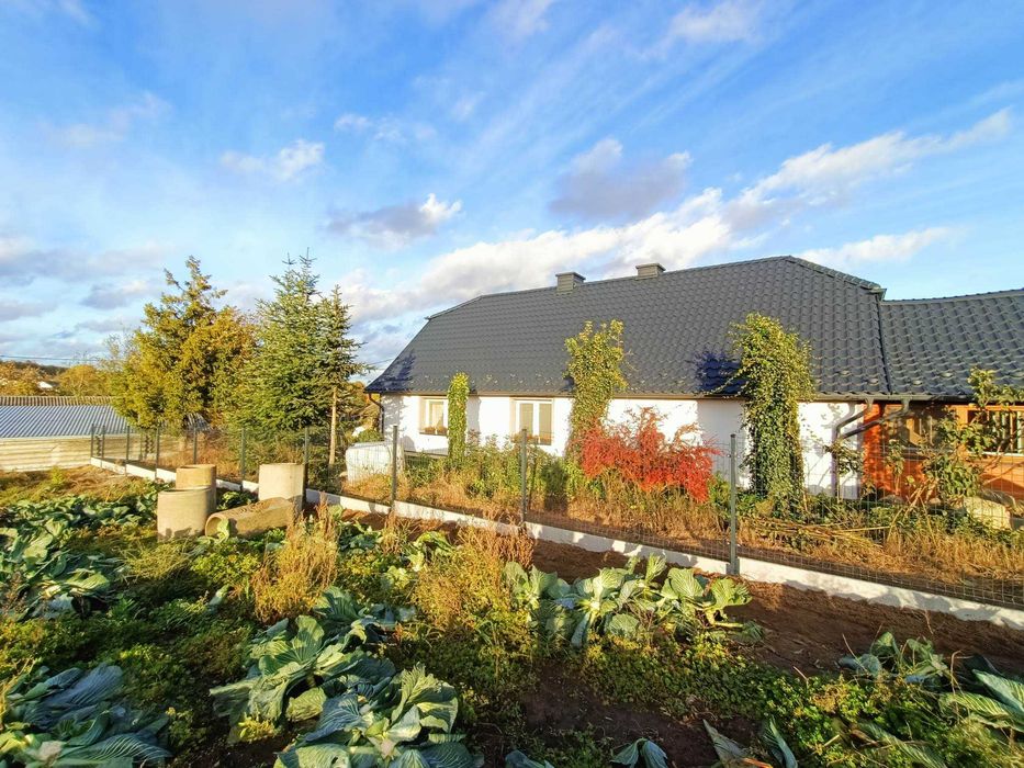 Ogrodzenia Panelowe + Bramy + Furtki+ Bloczki WYPRZEDAŻ MAGAZYNU!