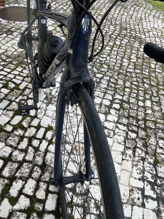 Trek Domane Al 2 RIm