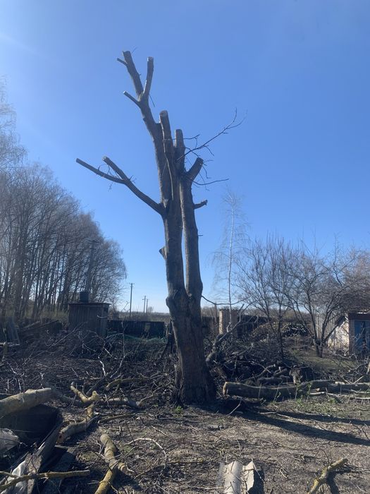 Висотні роботи — професійно та надійно