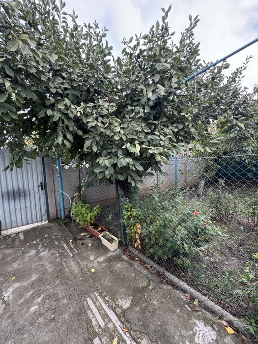 Приватний  Будинок (11 соток)