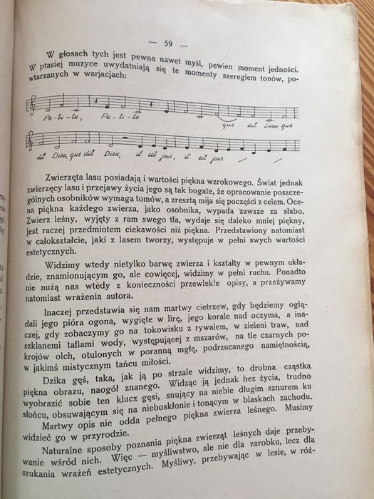 Estetyka lasu Karol Stieber 1929 leśnictwo