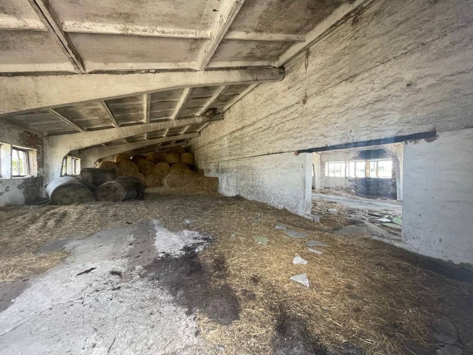 Продається тваринницький комплекс — с. Гельмязів, Черкаська обл.