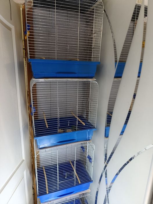 Продам б/у клітки для птахів