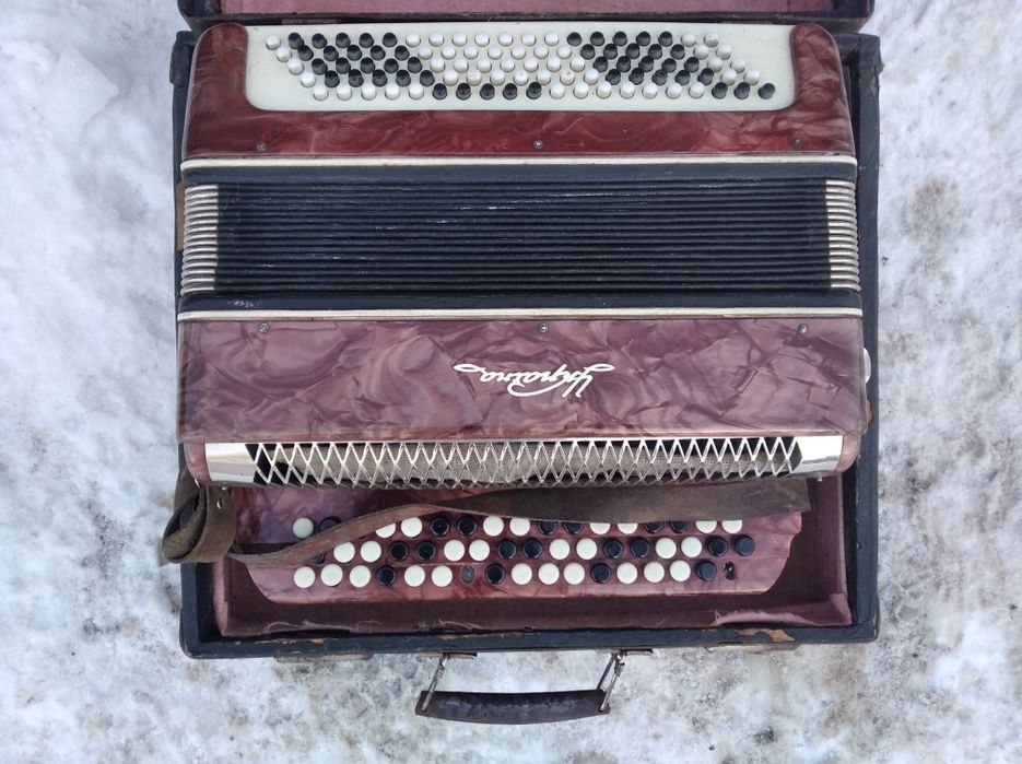 Аккордеон Украина.