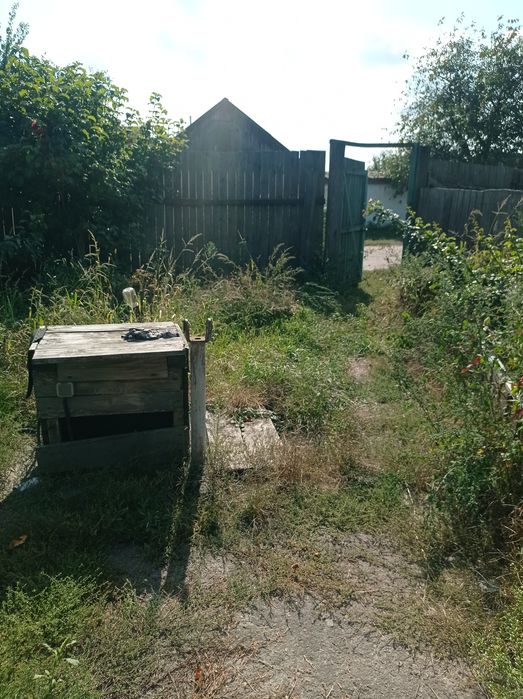 Садиба біля річки Десна. Село Лебедівка.