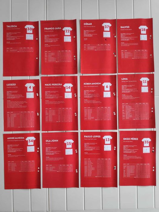 Colecção Record - Plantel Benfica 2014 a 2015