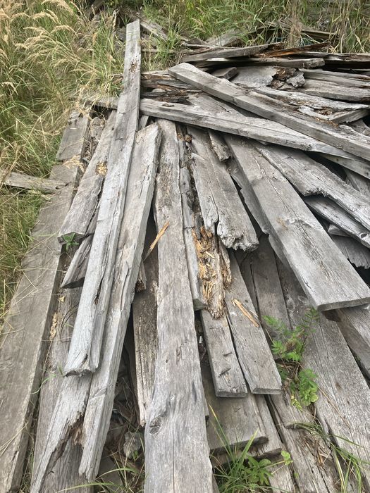 Drewno opal za darmo