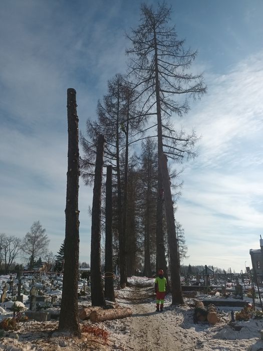 Drewno opałowe, kominkowe