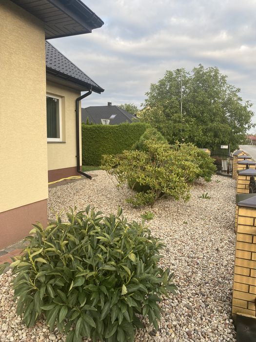 Sprzedam bardzo zadbany dom