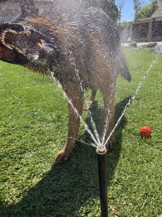Автополив, підбір, консультація, проєктні роботи