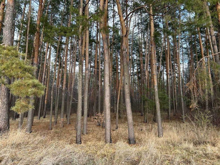 Великий масив землі під Забудову біля Житомирської траси