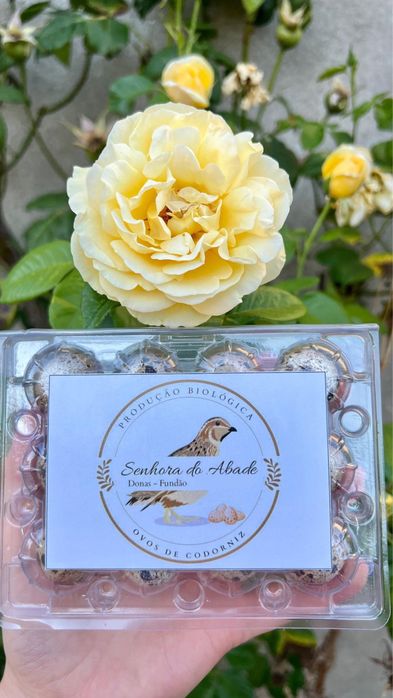 Ovos 100% biológicos