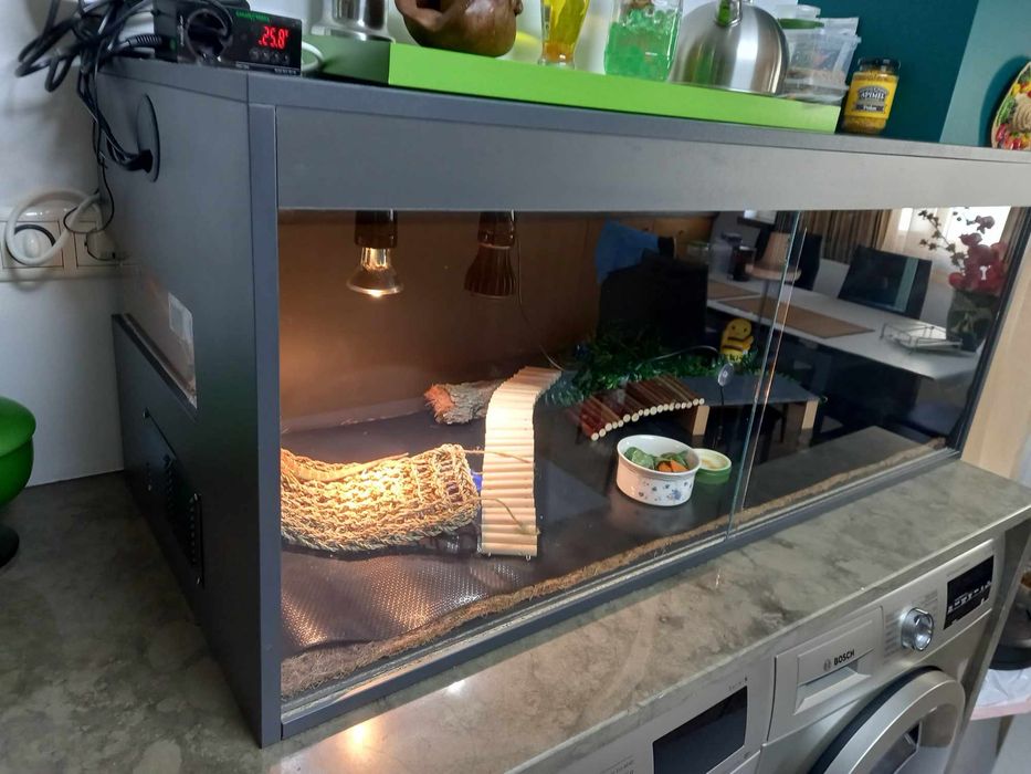 Terrarios por encomenda