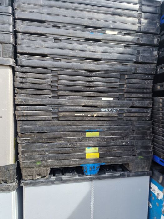 Caixas plastico tipo palote