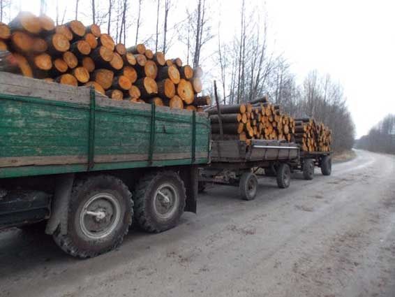Дрова дуб колотые Глеваха КиЇв обл.  5/12 скл.