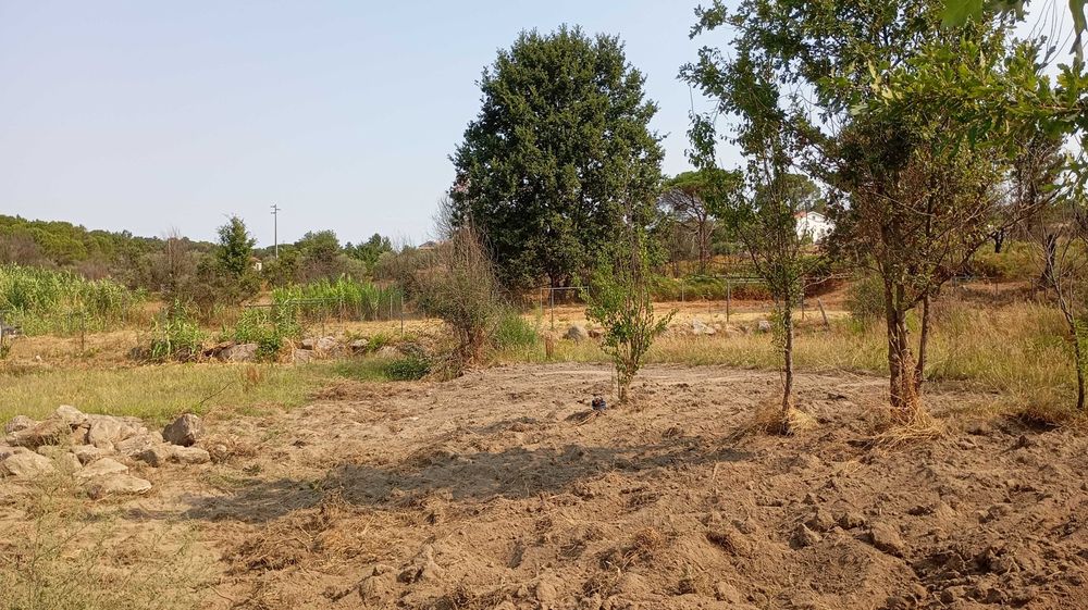 Serviços Mini giratória