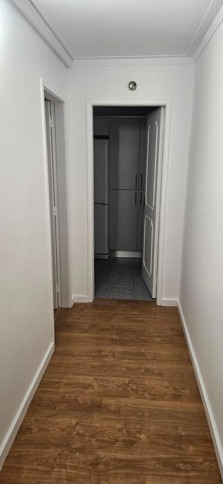 T1 Amial duas frentes