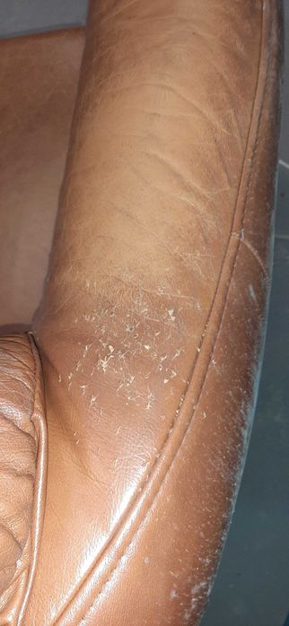 fotel skórzany jednoosobowy