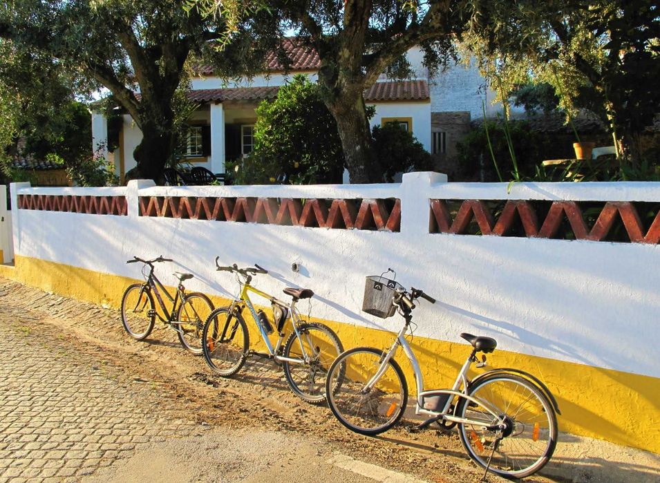 A Casa da Ti Vina - Casa Típica Alentejana - ALUGUER