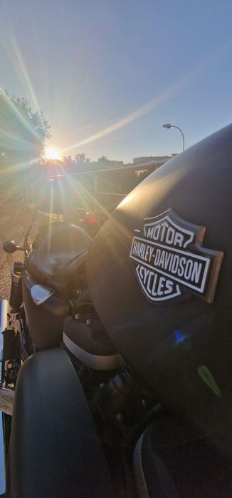 Harley Davidson Sportster Iron 883