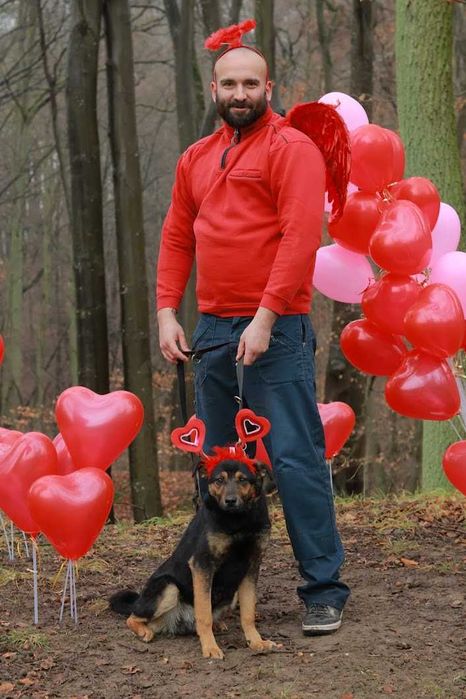 MUMIN - 1,5-roczny, łagodny i czuły wobec ludzi. [FILMIKI}