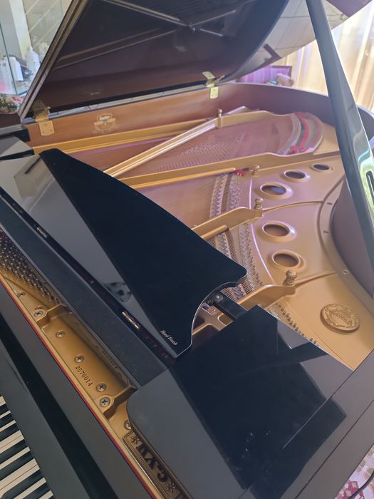 Piano de cauda Kawai RX-5 (2009) – Excelente estado mecânico, com sistema de controlo de humidade