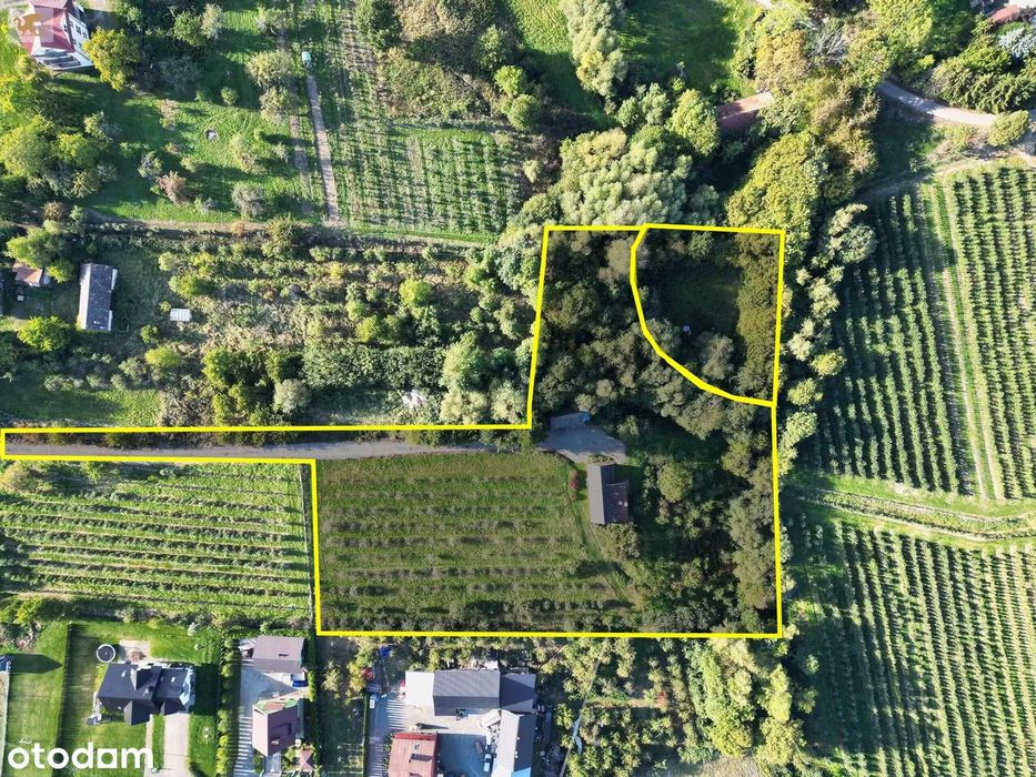 Duża działka z domem | Czarny Potok | 8700 m², sad i potok - Widok 3