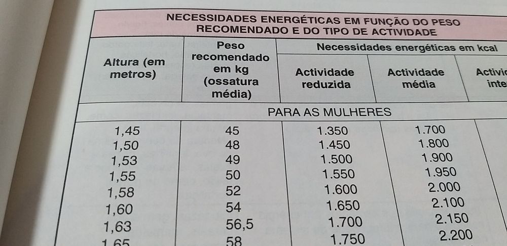 Conhecer os Alimentos.