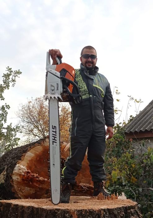 Спил аварійних дерев спиляти дерево бензопильщик