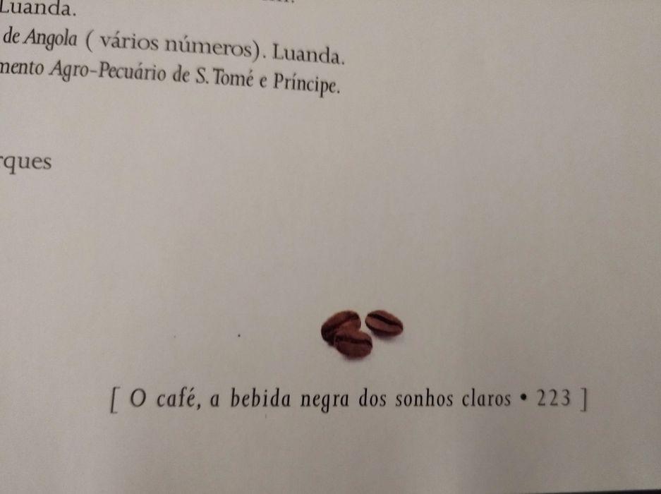 O Café
A bebida negra dos sonhos claros