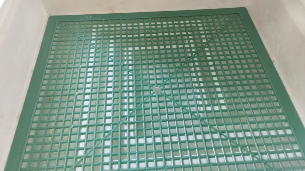 Інкубатор квочка