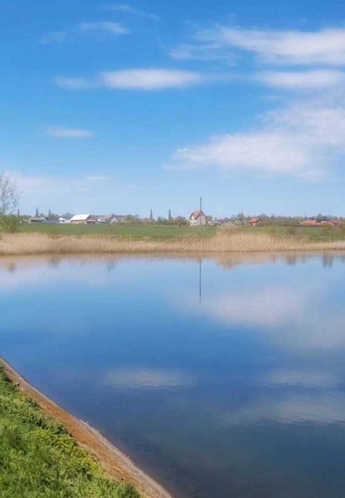 Земельна ділянка 25 соток у Тарашанах — чудова можливість для вашого проєкту,під житлову забудову.