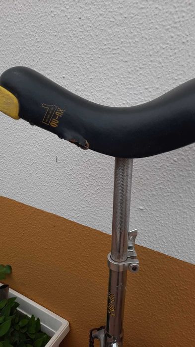 Monociclo para venda