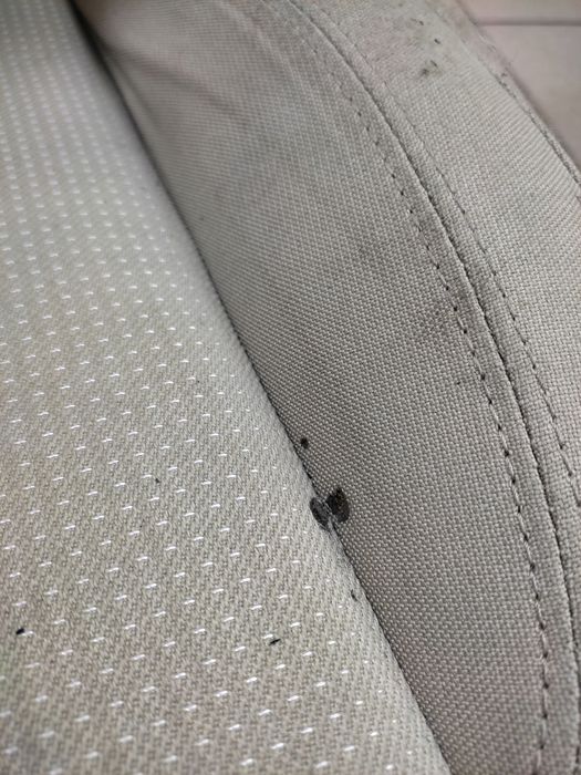 seat exeo kombi komplet foteli przód tył