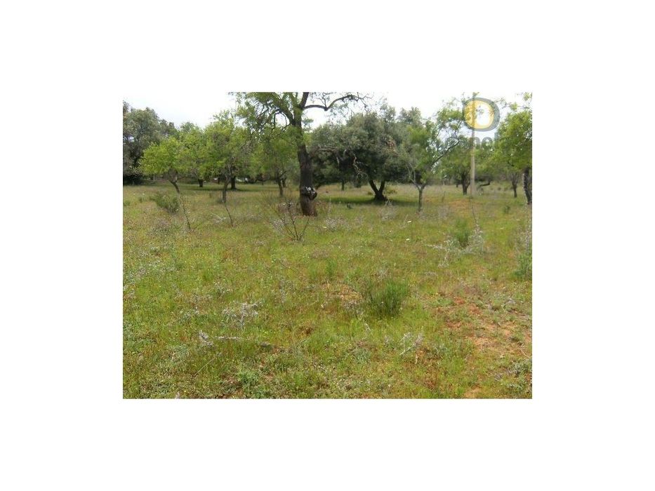 Terreno com 4980 m2 na Zona Industrial de Loulé