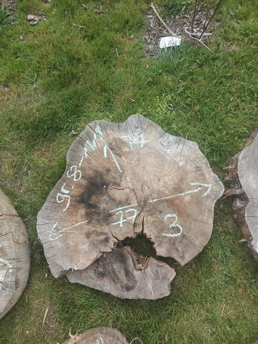 Plastry drewna... Sprzedam