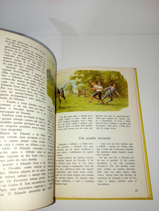 Os Rapazes da Nova Floresta - Verbo