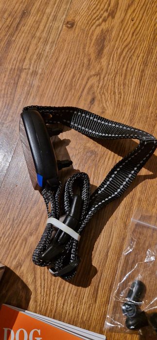 Elektroniczna obroża treningowa dla psa