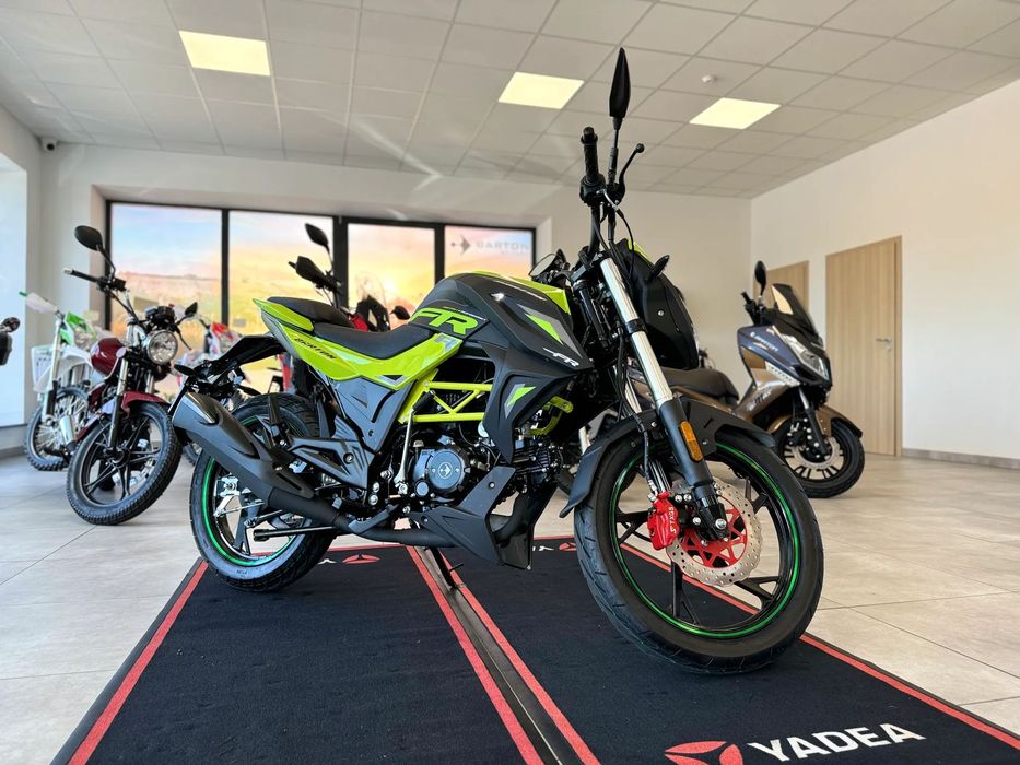 Barton FR / RATY / duży wybór modeli /