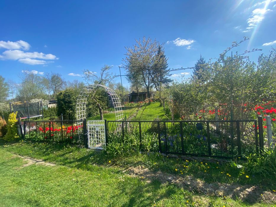 Działka rekreacyjna - ogródek działkowy - ROD “JEDNOŚĆ” za Lidlem