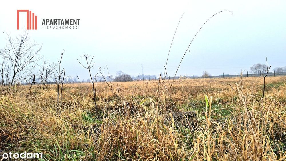 Olimpin–duża działka 1217m², media w drodze, Mpzp